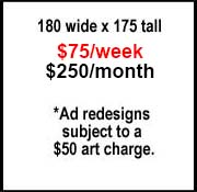 180 pixel by 175 pixel vertical banner ad.