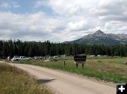 Laturio Mountain above Trailhead. Photo by Pinedale Online.