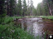 Big Sandy Creek at Trailhead. Photo by Pinedale Online.