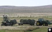 Loading bales. Photo by Dawn Ballou, Pinedale Online.