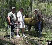 3-D Archery Shoot. Photo by Dawn Ballou, Pinedale Online.