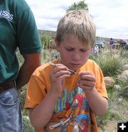 Trevor finds a scud. Photo by Dawn Ballou, Pinedale Online.