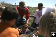 Fish Anatomy. Photo by Pam McCulloch, Pinedale Online.