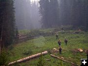 Fire fighters. Photo by Bridger-Teton National Forest.