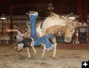 Jason Lux Bareback Ride. Photo by Dawn Ballou, Pinedale Online.