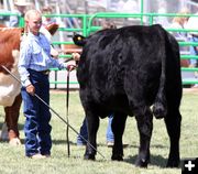 Kesley Porter. Photo by Clint Gilchrist, Pinedale Online.