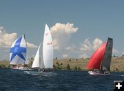 Red, White and Blue. Photo by Mindi Crabb.