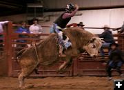 Bull Ride 27. Photo by Carie Whitman.