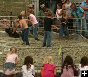 In the Mud. Photo by Dawn Ballou, Pinedale Online.