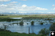 Horse Creek near Daniel. Photo by Dawn Ballou, Pinedale Online.