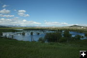 Horse Creek. Photo by Dawn Ballou, Pinedale Online.