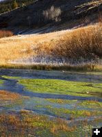 Warm Springs. Photo by Dave Bell.