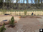 Planting shrubs. Photo by Ana Cuprill.