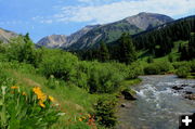 Creekside. Photo by Fred Pflughoft.