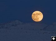 Full Moon. Photo by Dave Bell.