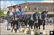 Draught Horses. Photo by Pinedale Online.