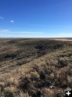 Ryegrass area. Photo by Bureau of Land Management.