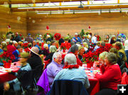 Big Crowd. Photo by Dawn Ballou, Pinedale Online.