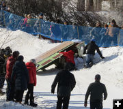 Carnage. Photo by Dawn Ballou, Pinedale Online.