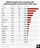 COVID deaths by country. Photo by .