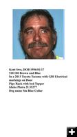 Missing. Photo by Sublette County Sheriff's Office.