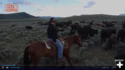 Albert Sommers - Rancher/Cowboy. Photo by 60 Minutes.