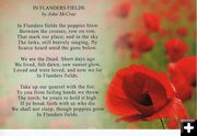 In Flanders Field. Photo by .