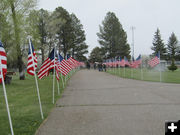 Flags. Photo by Dawn Ballou, Pinedale Online.