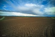 Vast Land. Photo by Dave Bell.