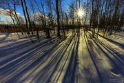 Vivid Shadows. Photo by Dave Bell.