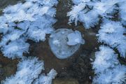 Ice Bubbles Frost. Photo by Dave Bell.