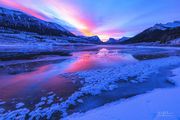 Colorful Icy Hoar Frost. Photo by Dave Bell.